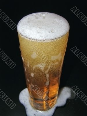 Glass of beer