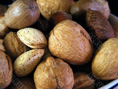 Mixed Nuts 2