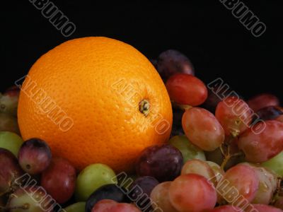 Orange and Grapes 3