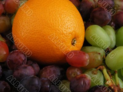 Orange and Grapes 2