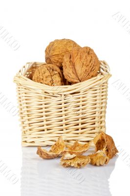 Walnuts in the basket