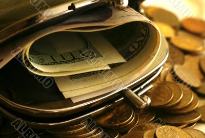 Purse with money