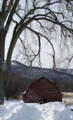 old red snowed in barn
