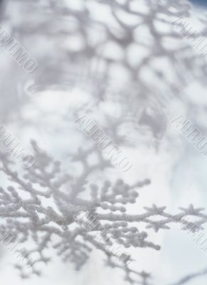 Winter background