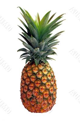 Isolated pineapple