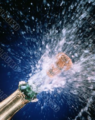 drops of champaign