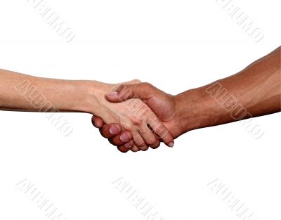 business handshake