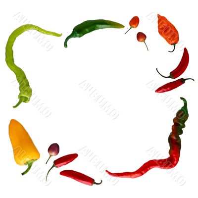 Pepper frame