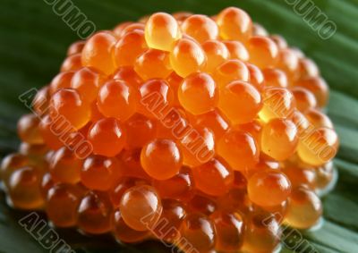 Red caviar