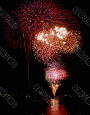 Beautiful firework