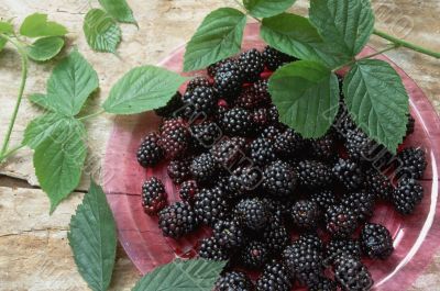 Raspberry