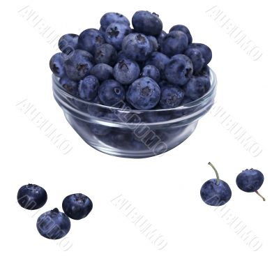 Blueberry