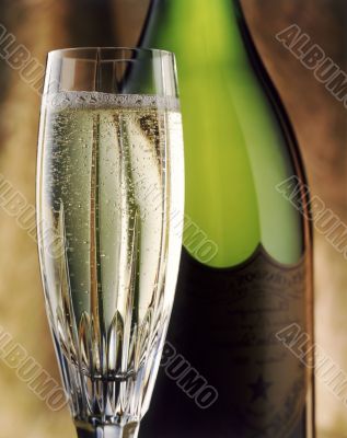 champaign glass