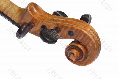 Violine Head