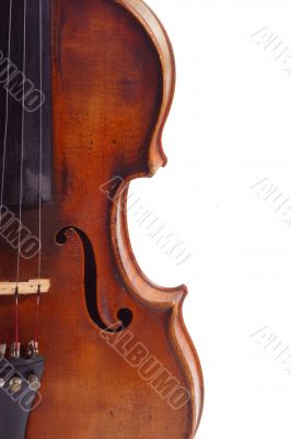 Violine isolated