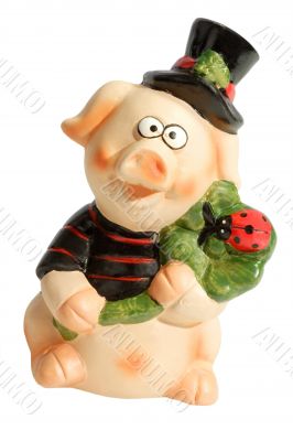 Happy Pig