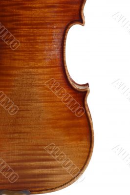 Backside from Violin