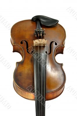 Old Violine