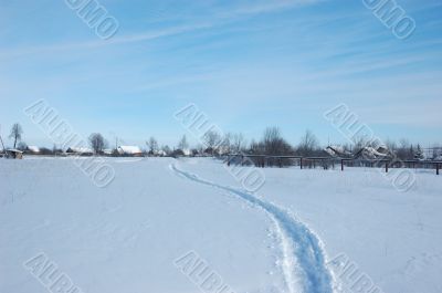 Narrow winter path in field