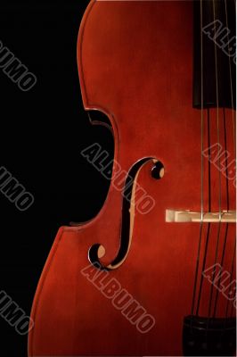 Contrabass