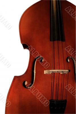 Contrabass