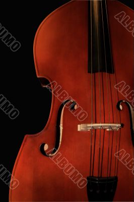 Contrabass