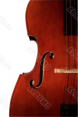 Contrabass