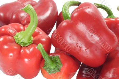 Paprika