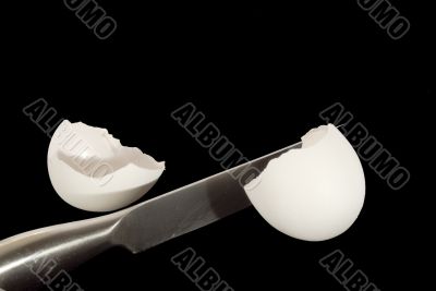 Divided Shell