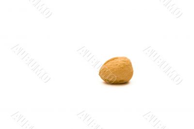 Single Walnut