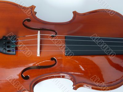 Violin