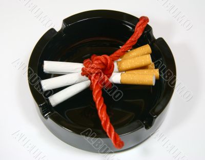 Without bad habits.
