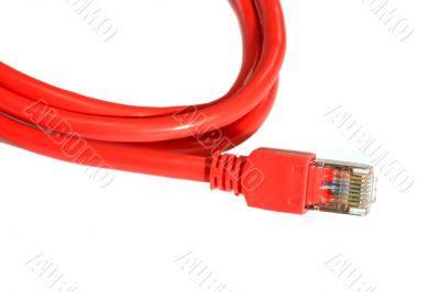 Network Cable