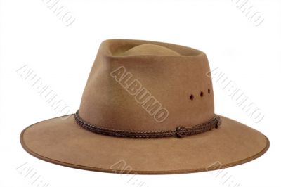 Brown Hat