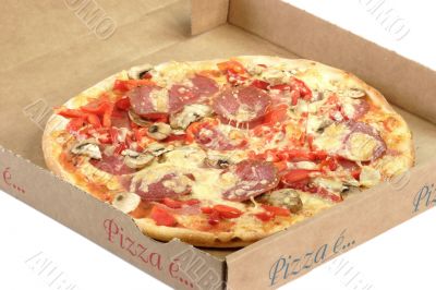 Pizza Box