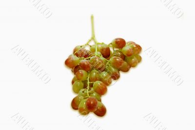 grape