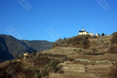 Church and vineyard