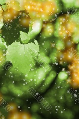 Beautiful background leave