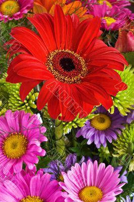 Daisies bouquet