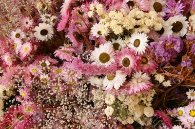 Dried flowers decoration