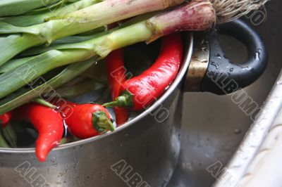 Fresh vegetables