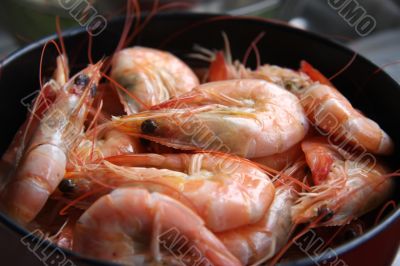 Whole cooked prawns