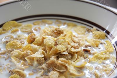 Corn flakes in milk
