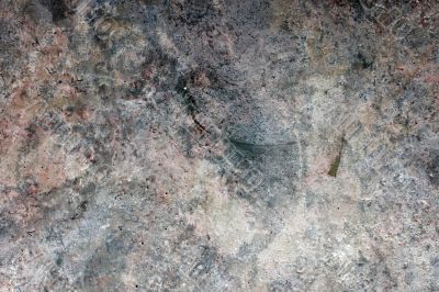 Texture