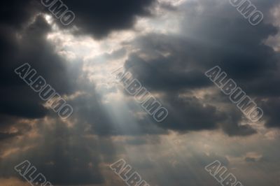 Rays