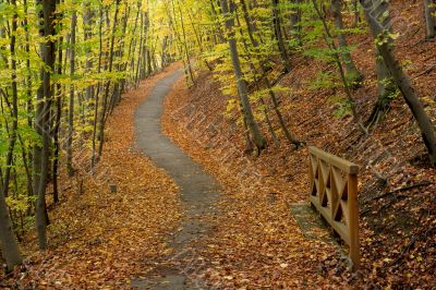 Path