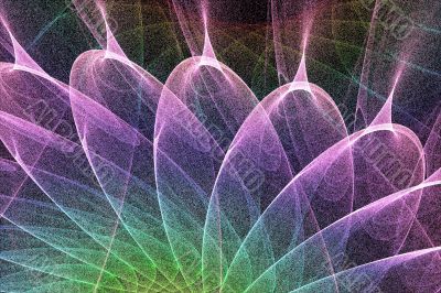 plasma petals