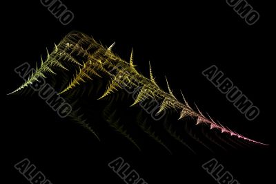 fractal fern