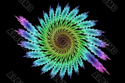 spiral fractal