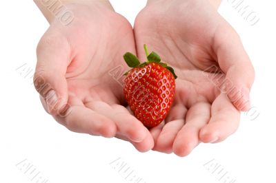 strawberry in hands